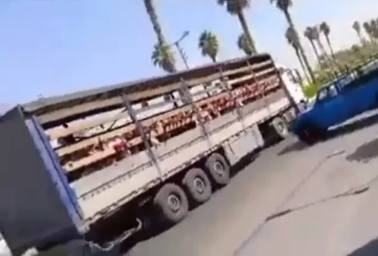 از ما مجوز نگرفته بودند