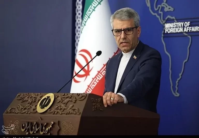 سفر فیدان به تهران در چارچوب رایزنی‌های مستمر با همسایگان است