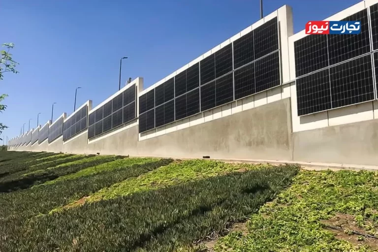 موزه بزرگ مصر نخستین موزه سبز منطقه / تولید ۲.۲ گیگاوات و کاهش کربن ۱۰۰ هزار تن