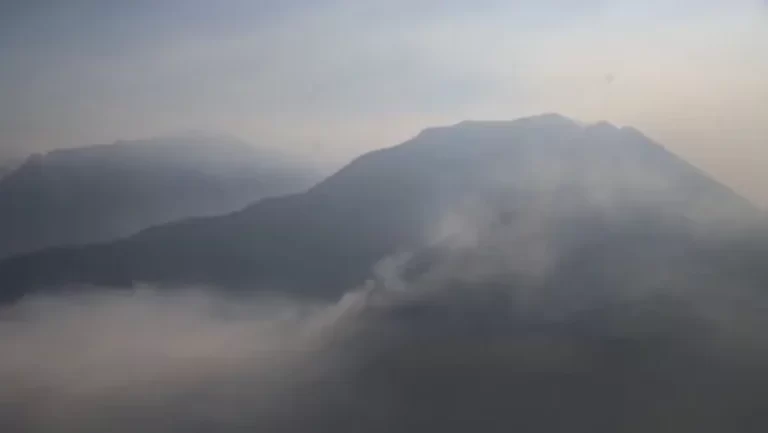 آتش‌سوزی به جنگل‌های الیت چالوس خسارت زد