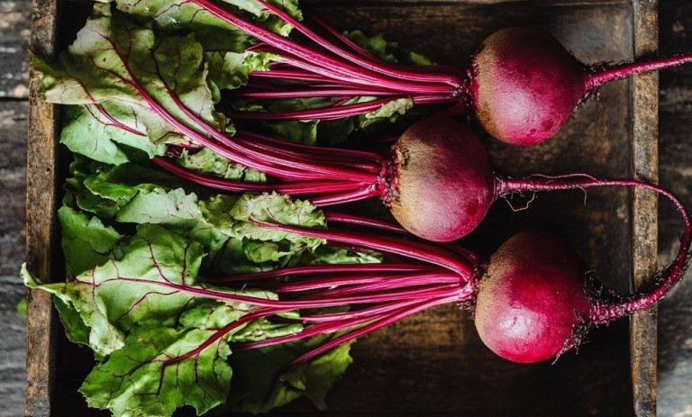 نحوه تشخیص لبوی شیرین و باکیفیت؛ راهنمای خرید بهتر