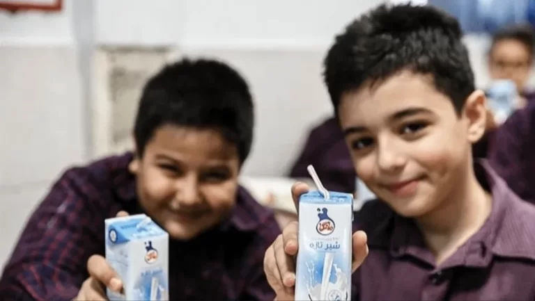 مشکل مدرسه رفتن شیر حل شد؛ آغاز فرایند توزیع شیر از فردا