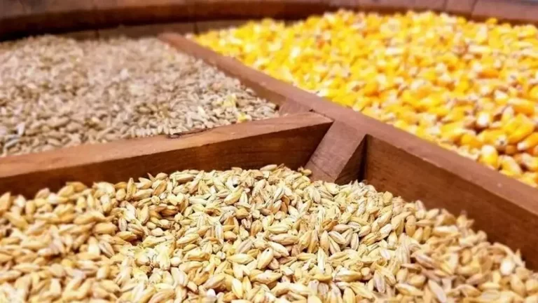 آرامش به بازار نهاده‌های دامی باز می‌گردد؟