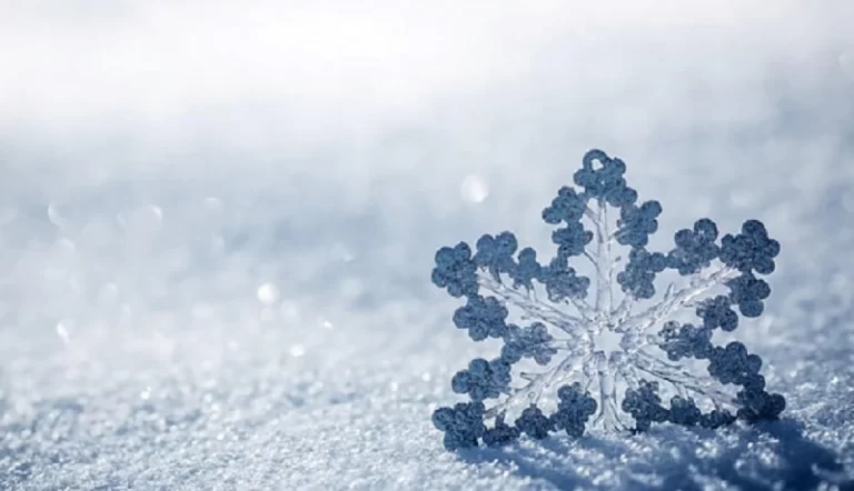 کاهش محسوس دما در مناطق سردسیر