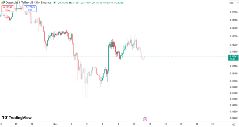 وضعیت بحرانی دوج‌ کوین و احتمال سقوط تا ۰,۱۶ دلار