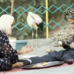 لک لک‌ها بر بام «سینما حقیقت» / مستندی درباره یک همزیستی زیبا