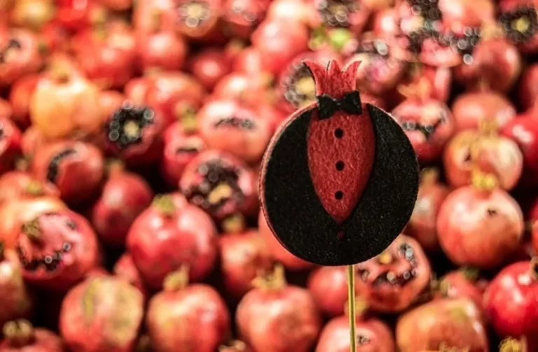 نمایشگاه‌های عرضه کالای شب یلدا در شیراز آغاز به کار کرد