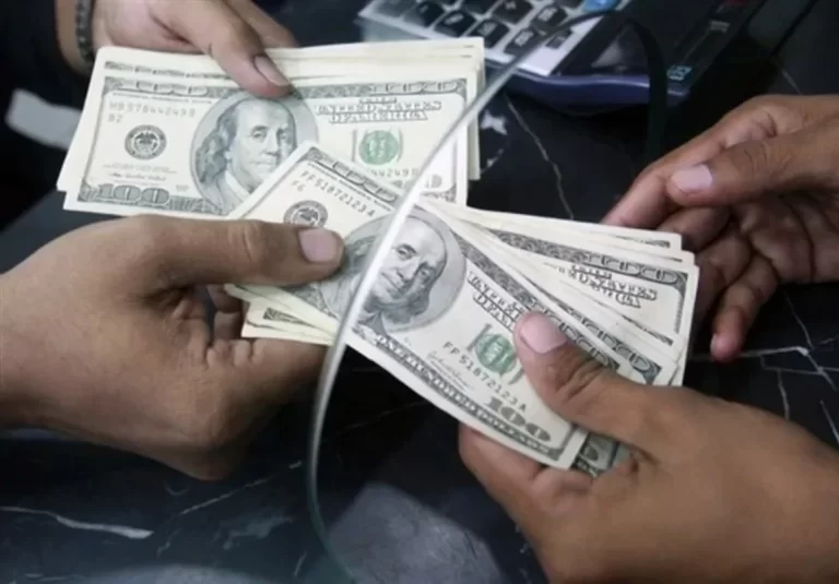 بررسی وضعیت بازار ارز با حضور وزیراقتصاد و رئیس بانک مرکزی