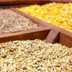 رفع شدن مشکلات تامین ارز نهادههای دامی توسط سران قوا