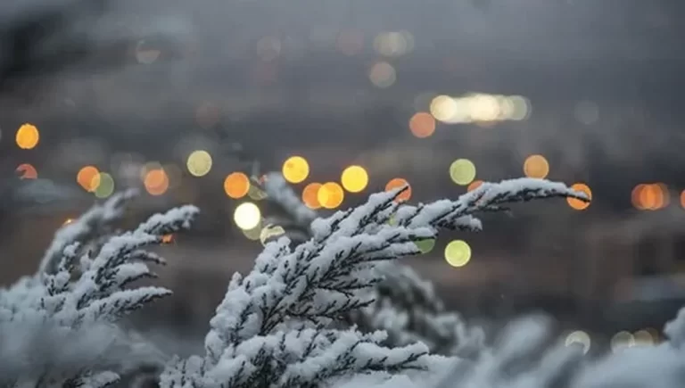 خسارت به محصولات کشاورزی با تشدید بارش‌ها