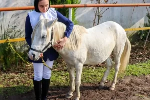 تصاویر؛ جشنواره زیبایی اسب کاسپین در انزلی