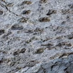 کشف هزاران ردپای دایناسور در شمال ایتالیا