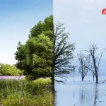 چگونه پدیده النینو الگوهای آبوهوایی را در هم میریزد؟