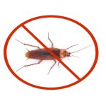 9 روش علمی و خانگی مؤثر برای پیشگیری و دفع سوسک حمام