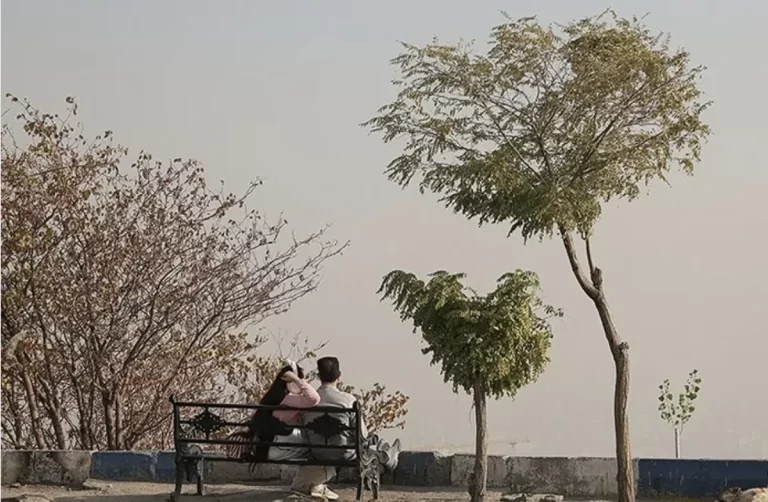 تصمیم‌های دودآلودتر از هوای تهران؛ طرح زوج‌وفرد چگونه یک‌شبه اعلام و لغو شد؟