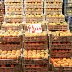 کمبودی در بازار میوه شب یلدا نداریم/ قیمت ها چند؟