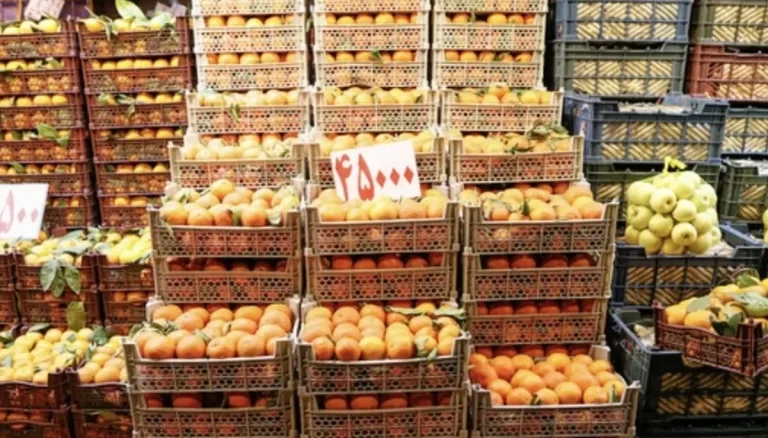 کمبودی در بازار میوه شب یلدا نداریم/ قیمت ها چند؟