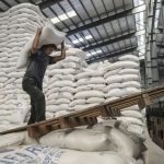 برنج ایرانی در بازار جهانی مشتری ندارد / صادرات برنج ایرانی محدود به ایرانیان خارج از کشور