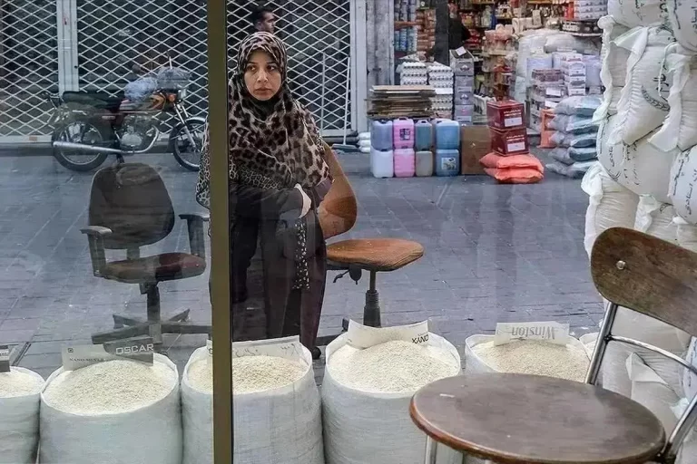 ارز ترجیحی برنج حذف شد/ جزئیات قیمت جدید برنج هندی و پاکستانی