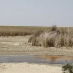 ۷۰ چاه آب جدید در تهران حفر میشود