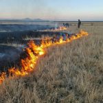 جزئیات مهار آتش‌سوزی در پارک ملی دریاچه ارومیه