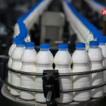 کنترل صادرات شیر خشک در راستای مهار افزایش قیمت لبنیات الزامی است