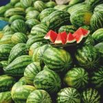 عرضه ۲۵۲ هزار تن هندوانه تازه برای تنظیم بازار در شب یلدا