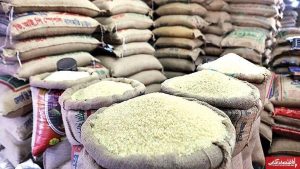 قیمت برنج ناگهان ۱۰۰ هزار تومان گران شد / شوک به خریداران برنج در آذر ۱۴۰۴