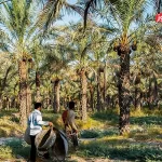 بهای صادرات محصولات کشاورزی، آب است!