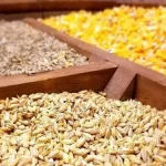 برخی عوامل توزیع نهاده در پی ایجاد التهاب در بازار هستند