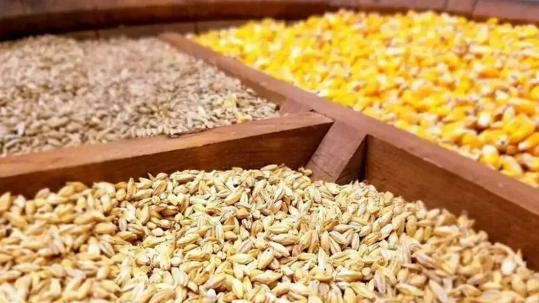 برخی عوامل توزیع نهاده در پی ایجاد التهاب در بازار هستند