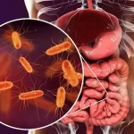 کشف ماده مغذی فعال‌کننده روده‌ها در مبارزه با دیابت