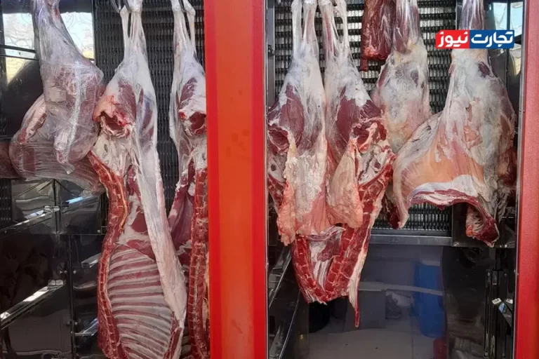 قیمت گوشت امروز ۱۳ آذر ۱۴۰۴ + جدول